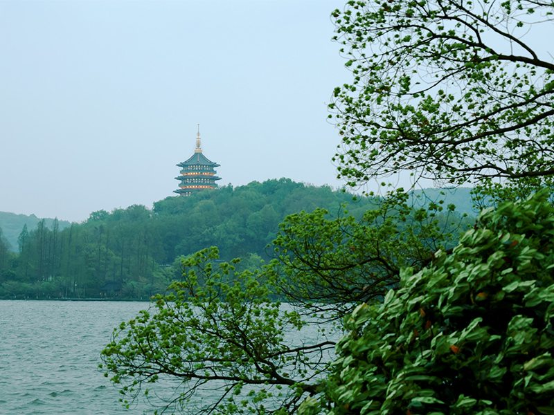 人文杭州，父母?jìng)儊?lái)了！河南礦山第十三屆孝文化感恩旅游節(jié)第三站